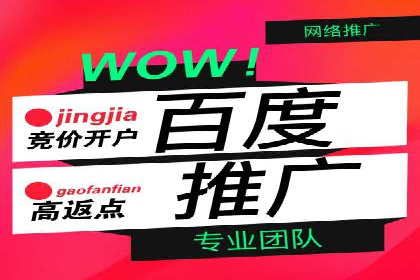 解析不同行业的网络推广与竞价技巧